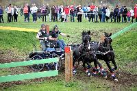 Photo n° 43687
Evreux 2018. Photo N. TOUDIC
Daniel DIMER
Affichée 39 fois
Ajoutée le 13/04/2018 15:40:50 par Nadinetoudic

--> Cliquer pour agrandir <--