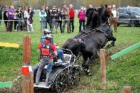 Photo n° 43692
Evreux 2018. Photo N. TOUDIC
Raphael BERRARD
Affichée 30 fois
Ajoutée le 13/04/2018 15:40:50 par Nadinetoudic

--> Cliquer pour agrandir <--