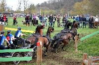 Photo n° 43694
Evreux 2018. Photo N. TOUDIC
Anthony HORDE
Affichée 27 fois
Ajoutée le 13/04/2018 15:40:51 par Nadinetoudic

--> Cliquer pour agrandir <--