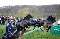 Photo n 43696&#10;Evreux 2018. Photo N. TOUDIC&#10;Thibault COUDRY&#10;Affiche 35 fois&#10;Ajoute le 13/04/2018 15:40:51 par Nadinetoudic&#10;&#10;--> Cliquer pour agrandir <--