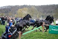 Photo n° 43696
Evreux 2018. Photo N. TOUDIC
Thibault COUDRY
Affichée 33 fois
Ajoutée le 13/04/2018 15:40:51 par Nadinetoudic

--> Cliquer pour agrandir <--