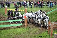 Photo n° 43697
Evreux 2018. Photo N. TOUDIC
Sébastien MOURIER
Affichée 159 fois
Ajoutée le 13/04/2018 15:40:51 par Nadinetoudic

--> Cliquer pour agrandir <--