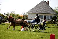 Photo n 44001&#10;St ANTOINE LA FORET 2018. Photo N.TOUDIC&#10;Sophie LARSON&#10;Affiche 9 fois&#10;Ajoute le 26/04/2018 11:08:20 par Nadinetoudic&#10;&#10;--> Cliquer pour agrandir <--