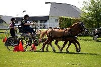 Photo n° 44002
St ANTOINE LA FORET 2018. Photo N.TOUDIC
Sophie LARSON
Affichée 9 fois
Ajoutée le 26/04/2018 11:08:20 par Nadinetoudic

--> Cliquer pour agrandir <--