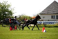 Photo n 44005&#10;St ANTOINE LA FORET 2018. Photo N.TOUDIC&#10;Marc CLAEYSSENS&#10;Affiche 8 fois&#10;Ajoute le 26/04/2018 11:08:20 par Nadinetoudic&#10;&#10;--> Cliquer pour agrandir <--