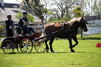 Photo n 44007&#10;St ANTOINE LA FORET 2018. Photo N.TOUDIC&#10;Guylain TRANCHARD&#10;Affiche 10 fois&#10;Ajoute le 26/04/2018 11:08:20 par Nadinetoudic&#10;&#10;--> Cliquer pour agrandir <--