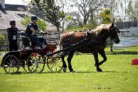 Photo n° 44007
St ANTOINE LA FORET 2018. Photo N.TOUDIC
Guylain TRANCHARD
Affichée 7 fois
Ajoutée le 26/04/2018 11:08:20 par Nadinetoudic

--> Cliquer pour agrandir <--