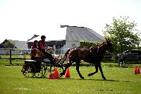 Photo n 44010&#10;St ANTOINE LA FORET 2018. Photo N.TOUDIC&#10;Thierry COUAILLET&#10;Affiche 9 fois&#10;Ajoute le 26/04/2018 11:08:20 par Nadinetoudic&#10;&#10;--> Cliquer pour agrandir <--