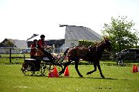 Photo n° 44010
St ANTOINE LA FORET 2018. Photo N.TOUDIC
Thierry COUAILLET
Affichée 6 fois
Ajoutée le 26/04/2018 11:08:20 par Nadinetoudic

--> Cliquer pour agrandir <--