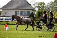 Photo n 44012&#10;St ANTOINE LA FORET 2018. Photo N.TOUDIC&#10;Clmence CHARPENTIER&#10;Affiche 12 fois&#10;Ajoute le 26/04/2018 11:08:20 par Nadinetoudic&#10;&#10;--> Cliquer pour agrandir <--