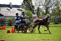 Photo n 44021&#10;St ANTOINE LA FORET 2018. Photo N.TOUDIC&#10;Joseph TIJOU&#10;Affiche 30 fois&#10;Ajoute le 26/04/2018 11:08:21 par Nadinetoudic&#10;&#10;--> Cliquer pour agrandir <--