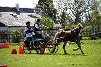 Photo n° 44021
St ANTOINE LA FORET 2018. Photo N.TOUDIC
Joseph TIJOU
Affichée 21 fois
Ajoutée le 26/04/2018 11:08:21 par Nadinetoudic

--> Cliquer pour agrandir <--