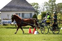 Photo n 44027&#10;St ANTOINE LA FORET 2018. Photo N.TOUDIC&#10;Auriane LAVICE&#10;Affiche 6 fois&#10;Ajoute le 26/04/2018 11:08:21 par Nadinetoudic&#10;&#10;--> Cliquer pour agrandir <--