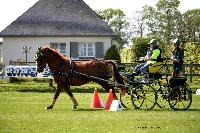 Photo n° 44027
St ANTOINE LA FORET 2018. Photo N.TOUDIC
Auriane LAVICE
Affichée 3 fois
Ajoutée le 26/04/2018 11:08:21 par Nadinetoudic

--> Cliquer pour agrandir <--