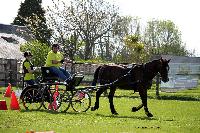 Photo n 44033&#10;St ANTOINE LA FORET 2018. Photo N.TOUDIC&#10;Christine RENEAUX&#10;Affiche 8 fois&#10;Ajoute le 26/04/2018 11:08:21 par Nadinetoudic&#10;&#10;--> Cliquer pour agrandir <--