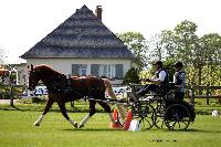 Photo n° 44038
St ANTOINE LA FORET 2018. Photo N.TOUDIC
David GUERIN
Affichée 62 fois
Ajoutée le 26/04/2018 11:08:22 par Nadinetoudic

--> Cliquer pour agrandir <--