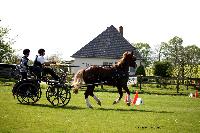 Photo n° 44039
St ANTOINE LA FORET 2018. Photo N.TOUDIC
David GUERIN
Affichée 18 fois
Ajoutée le 26/04/2018 11:08:22 par Nadinetoudic

--> Cliquer pour agrandir <--