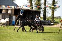 Photo n° 44040
St ANTOINE LA FORET 2018. Photo N.TOUDIC
Johnny GAFFE
Affichée 11 fois
Ajoutée le 26/04/2018 11:08:22 par Nadinetoudic

--> Cliquer pour agrandir <--