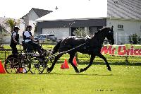 Photo n 44043&#10;St ANTOINE LA FORET 2018. Photo N.TOUDIC&#10;Johnny GAFFE&#10;Affiche 26 fois&#10;Ajoute le 26/04/2018 11:08:22 par Nadinetoudic&#10;&#10;--> Cliquer pour agrandir <--