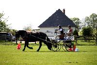 Photo n° 44045
St ANTOINE LA FORET 2018. Photo N.TOUDIC
Carole SIMON
Affichée 9 fois
Ajoutée le 26/04/2018 11:08:22 par Nadinetoudic

--> Cliquer pour agrandir <--