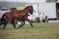 Photo n 44567&#10;KEISPELT 2018&#10;&#10;Affiche 2 fois&#10;Ajoute le 01/06/2018 08:33:40 par JeanClaudeGrognet&#10;&#10;--> Cliquer pour agrandir <--