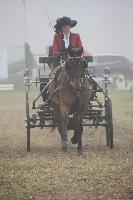 Photo n 44585&#10;KEISPELT 2018&#10;Laure Philippot (Bel)&#10;Affiche 1 fois&#10;Ajoute le 01/06/2018 08:33:40 par JeanClaudeGrognet&#10;&#10;--> Cliquer pour agrandir <--