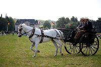 Photo n 44621&#10;CUTS 2018. Photo Nadine TOUDIC&#10;Annabelle CONIJN (NL) Rally Cart&#10;Affiche 13 fois&#10;Ajoute le 01/06/2018 16:29:50 par Nadinetoudic&#10;&#10;--> Cliquer pour agrandir <--