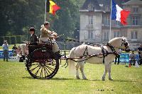 Photo n 44622&#10;CUTS 2018. Photo Nadine TOUDIC&#10;Koen DEPAEPE (B) Dog Cart&#10;Affiche 14 fois&#10;Ajoute le 01/06/2018 16:29:50 par Nadinetoudic&#10;&#10;--> Cliquer pour agrandir <--