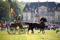 Photo n 44648&#10;CUTS 2018. Photo Nadine TOUDIC&#10;James JEFFERY (GB) Dog Cart&#10;Affiche 12 fois&#10;Ajoute le 01/06/2018 16:29:51 par Nadinetoudic&#10;&#10;--> Cliquer pour agrandir <--