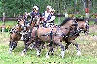 Photo n 44888&#10;SAUMUR 2018 photo JP Giraud www.photovendee85.fr&#10;Debove Amandine&#10;Affiche 37 fois&#10;Ajoute le 16/06/2018 00:02:25 par JeanClaudeGrognet&#10;&#10;--> Cliquer pour agrandir <--