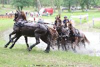 Photo n 44889&#10;SAUMUR 2018 photo JP Giraud www.photovendee85.fr&#10;Deudon Nicolas (BEL)&#10;Affiche 16 fois&#10;Ajoute le 16/06/2018 00:02:25 par JeanClaudeGrognet&#10;&#10;--> Cliquer pour agrandir <--