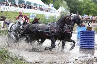 Photo n 44890&#10;SAUMUR 2018 photo JP Giraud www.photovendee85.fr&#10;&#10;Affiche 16 fois&#10;Ajoute le 16/06/2018 00:02:25 par JeanClaudeGrognet&#10;&#10;--> Cliquer pour agrandir <--