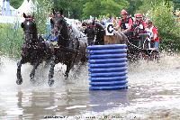 Photo n 44891&#10;SAUMUR 2018 photo JP Giraud www.photovendee85.fr&#10;Dupont Grard&#10;Affiche 12 fois&#10;Ajoute le 16/06/2018 00:02:25 par JeanClaudeGrognet&#10;&#10;--> Cliquer pour agrandir <--