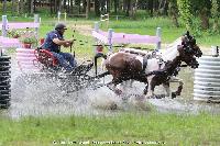 Photo n 44894&#10;SAUMUR 2018 photo JP Giraud www.photovendee85.fr&#10;Ferre Richard&#10;Affiche 13 fois&#10;Ajoute le 16/06/2018 00:02:25 par JeanClaudeGrognet&#10;&#10;--> Cliquer pour agrandir <--