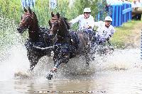 Photo n 44896&#10;SAUMUR 2018 photo JP Giraud www.photovendee85.fr&#10;Grimonprez Franck&#10;Affiche 13 fois&#10;Ajoute le 16/06/2018 00:02:25 par JeanClaudeGrognet&#10;&#10;--> Cliquer pour agrandir <--