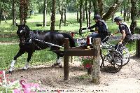 Photo n 44898&#10;SAUMUR 2018 photo JP Giraud www.photovendee85.fr&#10;Herv Romain&#10;Affiche 14 fois&#10;Ajoute le 16/06/2018 00:02:25 par JeanClaudeGrognet&#10;&#10;--> Cliquer pour agrandir <--