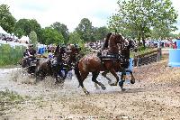 Photo n 44900&#10;SAUMUR 2018 photo JP Giraud www.photovendee85.fr&#10;Horde Antony&#10;Affiche 18 fois&#10;Ajoute le 16/06/2018 00:02:25 par JeanClaudeGrognet&#10;&#10;--> Cliquer pour agrandir <--