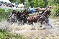 Photo n 44901&#10;SAUMUR 2018 photo JP Giraud www.photovendee85.fr&#10;Horde Antony&#10;Affiche 13 fois&#10;Ajoute le 16/06/2018 00:02:25 par JeanClaudeGrognet&#10;&#10;--> Cliquer pour agrandir <--