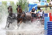 Photo n° 44903
SAUMUR 2018 photo JP Giraud www.photovendee85.fr
Jung Pierre
Affichée 15 fois
Ajoutée le 16/06/2018 00:02:25 par JeanClaudeGrognet

--> Cliquer pour agrandir <--