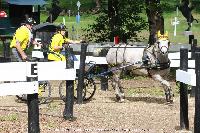 Photo n 44905&#10;SAUMUR 2018 photo JP Giraud www.photovendee85.fr&#10;Le Bihan Cline&#10;Affiche 17 fois&#10;Ajoute le 16/06/2018 00:02:25 par JeanClaudeGrognet&#10;&#10;--> Cliquer pour agrandir <--