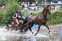 Photo n 44907&#10;SAUMUR 2018 photo JP Giraud www.photovendee85.fr&#10;Lefort Claire&#10;Affiche 23 fois&#10;Ajoute le 16/06/2018 00:02:25 par JeanClaudeGrognet&#10;&#10;--> Cliquer pour agrandir <--