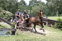 Photo n° 44908
SAUMUR 2018 photo JP Giraud www.photovendee85.fr
Lefort Claire
Affichée 22 fois
Ajoutée le 16/06/2018 00:02:25 par JeanClaudeGrognet

--> Cliquer pour agrandir <--