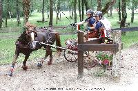Photo n 44909&#10;SAUMUR 2018 photo JP Giraud www.photovendee85.fr&#10;Lefort Claire&#10;Affiche 23 fois&#10;Ajoute le 16/06/2018 00:02:25 par JeanClaudeGrognet&#10;&#10;--> Cliquer pour agrandir <--