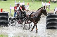 Photo n 44910&#10;SAUMUR 2018 photo JP Giraud www.photovendee85.fr&#10;Louesse Etienne (BEL)&#10;Affiche 19 fois&#10;Ajoute le 16/06/2018 00:02:26 par JeanClaudeGrognet&#10;&#10;--> Cliquer pour agrandir <--