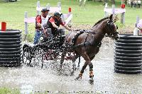 Photo n° 44910
SAUMUR 2018 photo JP Giraud www.photovendee85.fr
Louesse Etienne (BEL)
Affichée 17 fois
Ajoutée le 16/06/2018 00:02:26 par JeanClaudeGrognet

--> Cliquer pour agrandir <--