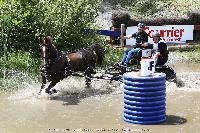 Photo n 44915&#10;SAUMUR 2018 photo JP Giraud www.photovendee85.fr&#10;McGill Lucy (GBR)&#10;Affiche 12 fois&#10;Ajoute le 16/06/2018 00:02:26 par JeanClaudeGrognet&#10;&#10;--> Cliquer pour agrandir <--