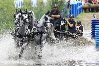 Photo n 44918&#10;SAUMUR 2018 photo JP Giraud www.photovendee85.fr&#10;Mourier Sbastien&#10;Affiche 18 fois&#10;Ajoute le 16/06/2018 00:02:26 par JeanClaudeGrognet&#10;&#10;--> Cliquer pour agrandir <--