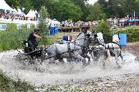 Photo n 44919&#10;SAUMUR 2018 photo JP Giraud www.photovendee85.fr&#10;Mourier Sbastien&#10;Affiche 17 fois&#10;Ajoute le 16/06/2018 00:02:26 par JeanClaudeGrognet&#10;&#10;--> Cliquer pour agrandir <--