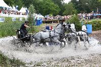 Photo n° 44919
SAUMUR 2018 photo JP Giraud www.photovendee85.fr
Mourier Sébastien
Affichée 15 fois
Ajoutée le 16/06/2018 00:02:26 par JeanClaudeGrognet

--> Cliquer pour agrandir <--