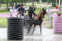 Photo n° 44924
SAUMUR 2018 photo JP Giraud www.photovendee85.fr
Selle Jean-Frédéric
Affichée 14 fois
Ajoutée le 16/06/2018 00:02:26 par JeanClaudeGrognet

--> Cliquer pour agrandir <--